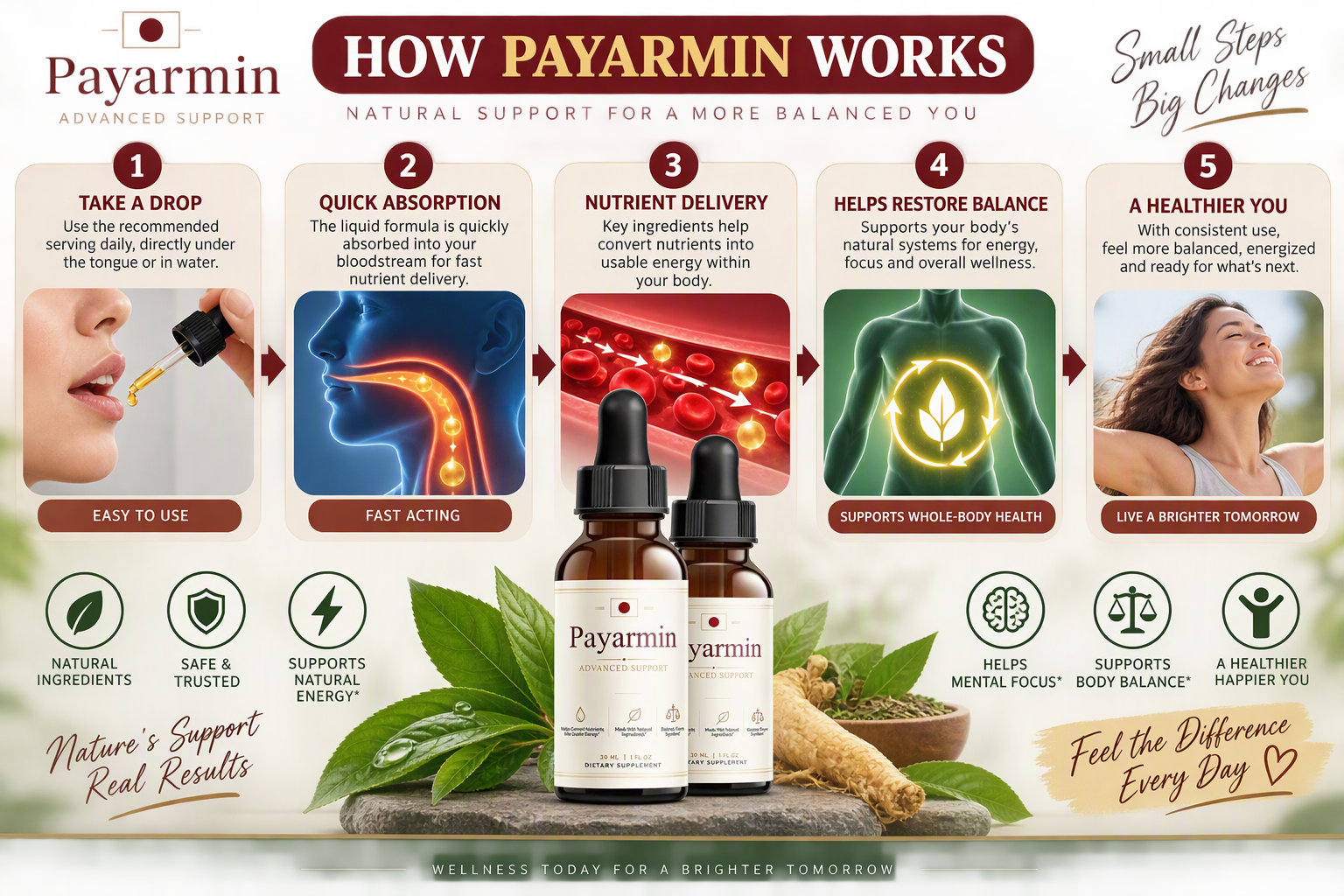 How Payarmin works